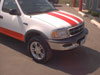 Rally Stripes by the Pickup Guy